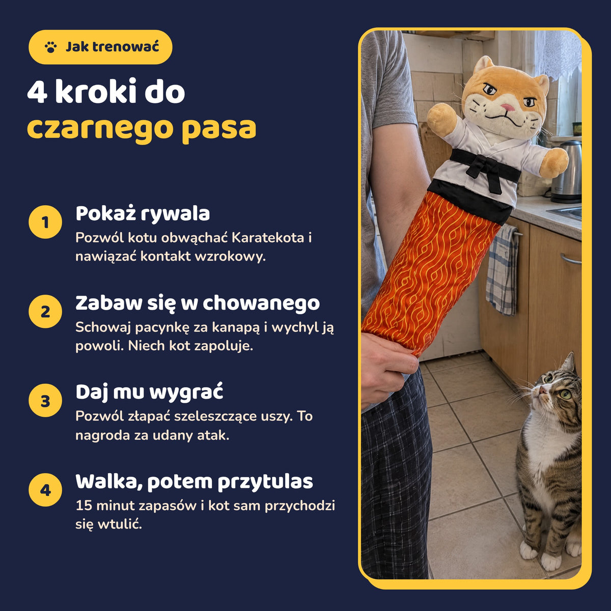 Jak używać Karatekota w 4 krokach